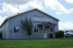 veterinary hospital in steamboat springs, co vets